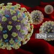 ویروس کرونا و پلاسنیک